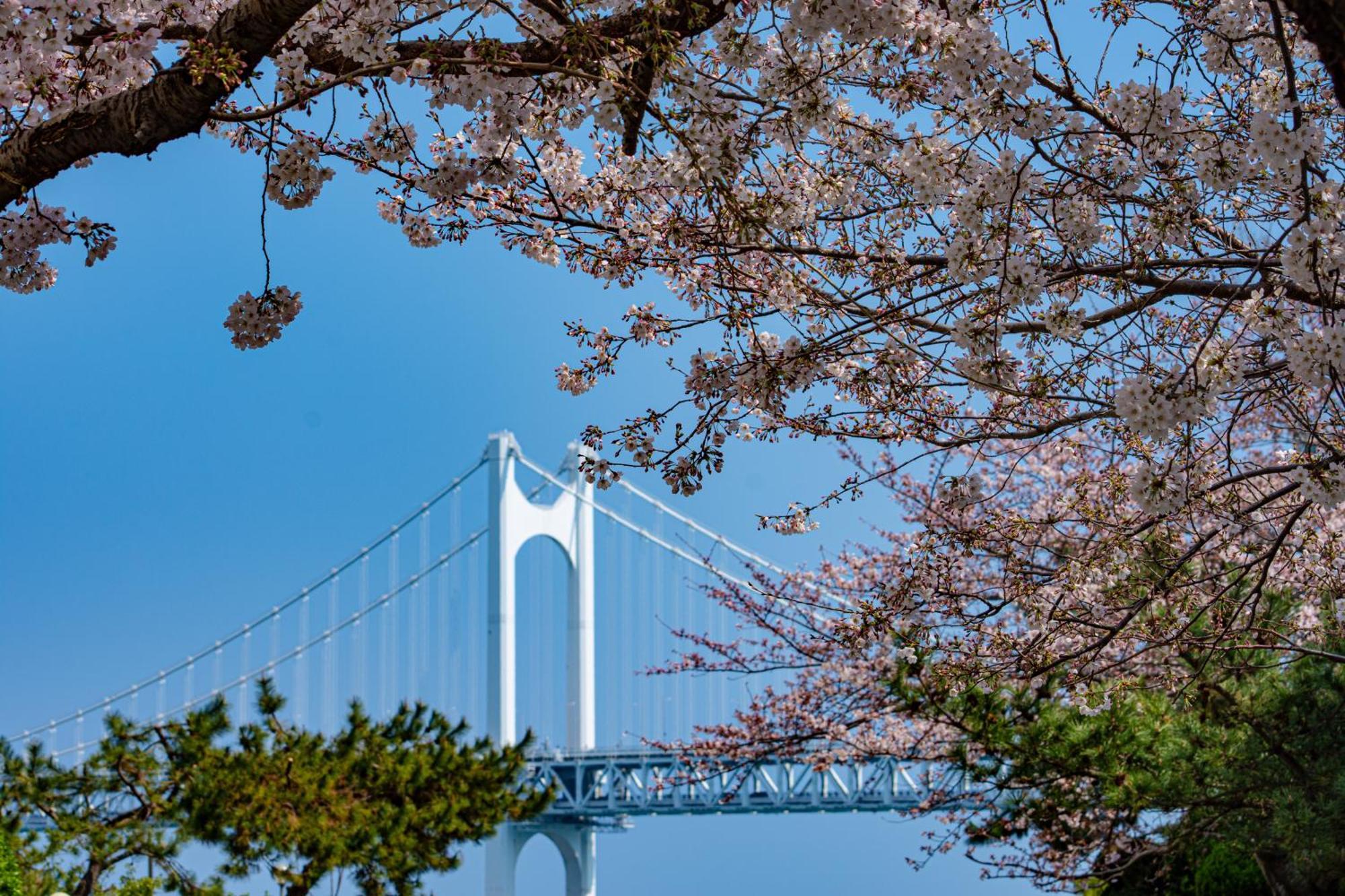 ケントホテル 広安里 バイ ケンジントン 釜山広域市 エクステリア 写真